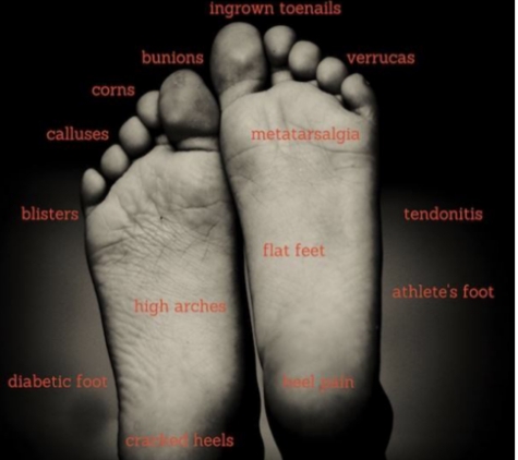 Tamworth Podiatry Centre - North Tamworth, NSW