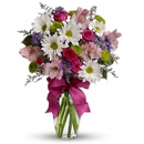 Flower Kingdom - Wholesale Florists