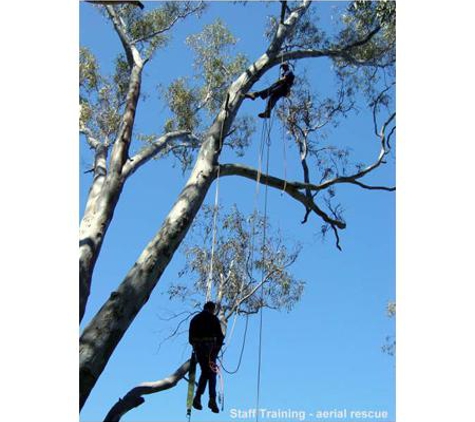 Corowa Tree Care