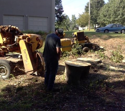 Coleman Stump Removal - lithia springs, GA