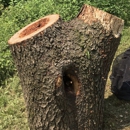Limbwalker Tree Service Inc - Stump Removal & Grinding