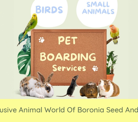 Animal World of Boronia - Boronia, VIC. Exclusive Animal World Of Boronia Seed And Mix
