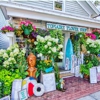 Topiaire Flower Shop gallery