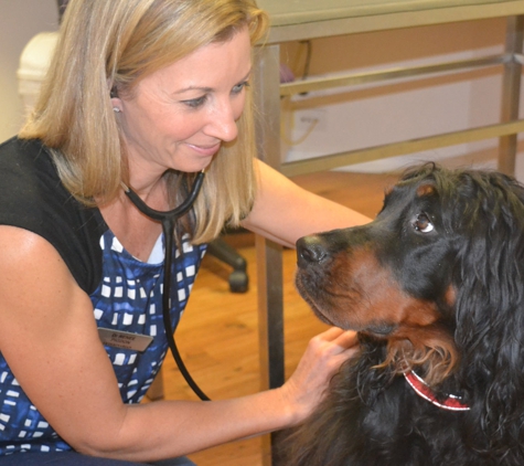 PetFocus Vetcare - Lavington, NSW
