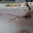 Excel Professional Detailing & Fiberglass Inc - Boat Maintenance & Repair