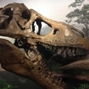 University of Wyoming Geological Museum - Museums