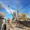 GE Tree Service, Inc. gallery