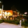 Shark Attack Adventure Golf gallery