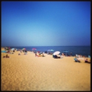 Plum Island Beach Rentals - Vacation Homes Rentals & Sales