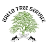 Gallo Tree Service gallery