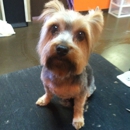 Ruff Cuts Dog Grooming - Pet Grooming