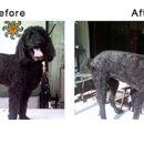 FancyFur Mobile Dog Grooming - Pet Services