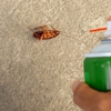 APM Mosquito Control gallery