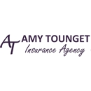 Amy Tounget Insurance Agency - Homeowners Insurance