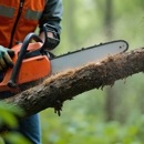 B & N Tree Care - Tree Service