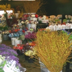 Associated Wholesale Florist