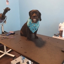 A Pups Dream Dog Grooming - Pet Grooming