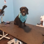A Pups Dream Dog Grooming