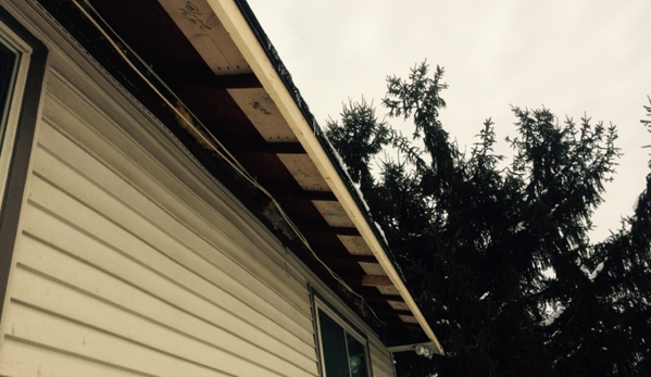 All Phases Home Services - Ann Arbor, MI. Repaired rotten wood before new gutters went up.