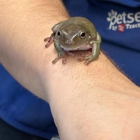 Petsense by Tractor Supply