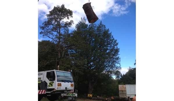 Total Tree Services - Mount Rascal, QLD