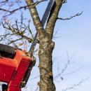 Howard Tree Care - Tree Service