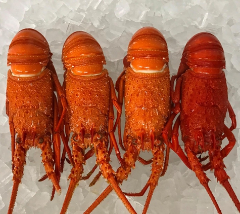 Latitude Fisheries Pty Ltd - West End, WA