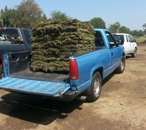 Valley Sod Farm Inc - Los Angeles, CA