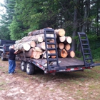 Mitchell & Sons Logging & Firewood