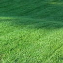 Yard Ace Lawn Care - Landscaping & Lawn Services