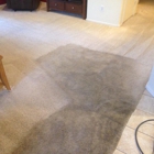 Element Carpet Cleaning