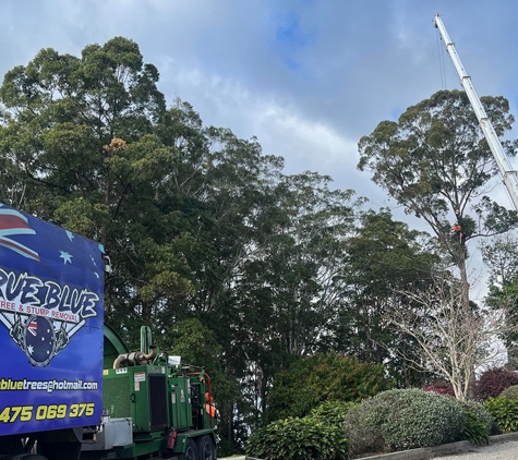 True Blue Tree and Stump Removal - Glass House Mountains, QLD. Tree lopping Sunshine Coast