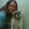 Spring Valley Animal Hospital gallery