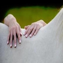 Serenity Animal Massage - Pet Specialty Services