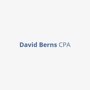 David Berns Cpa Pa