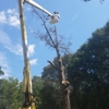 MM&H Tree Service gallery