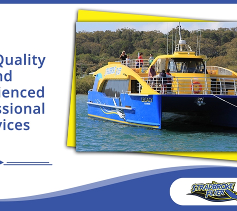Stradbroke Flyer Gold Cats - Cleveland, QLD. High Quality And Experienced Professional Services