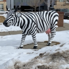 Sam Gary Branch, Denver Public Library
