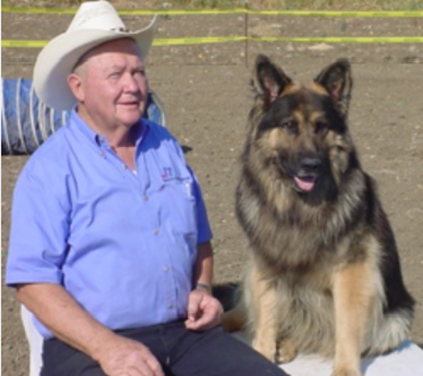 American Canine Institute - Fremont, CA