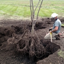 Wellnitz Tree Care, Inc. - Tree Service