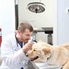 Clements Ferry Veterinary gallery