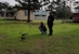 Kalgan River Chalets & Caravan Park - Caravan Parks