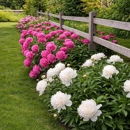 Plant Solutions Tree & Lawn Care - Gardeners
