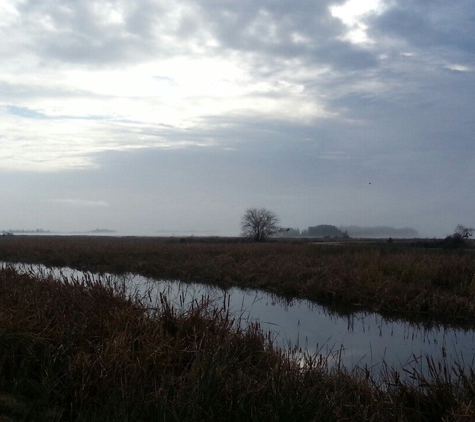 Savannah National Wildlife Refuge - Hardeeville, SC