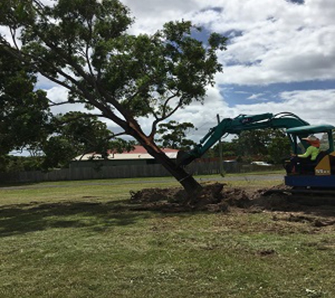 Active Tree Fellas - River Heads, QLD