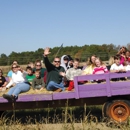 Cox Farms - Christmas Trees