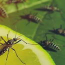 Enviro First - Pest Control Equipment & Supplies