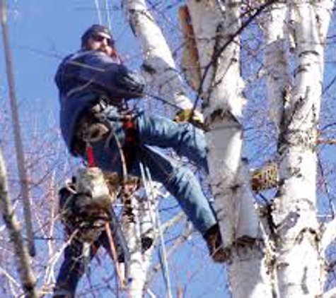 A-1 Affordable Tree Service - Troy, OH