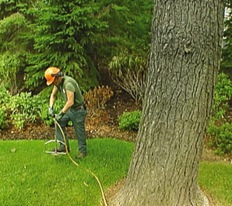 Tree Tech Inc. - Foxboro, MA