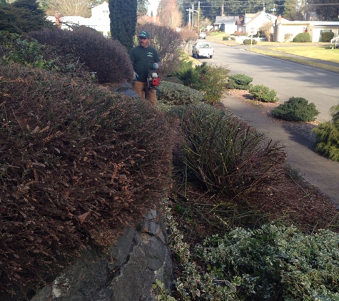 Greg Landscaping - Sumner, WA